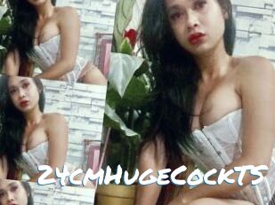 24cmHugeCockTS
