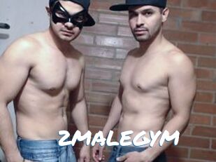 2MALEGYM