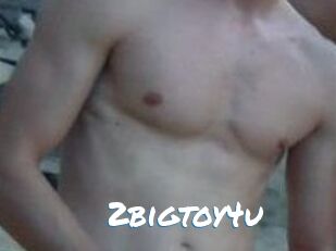 2bigtoy4u