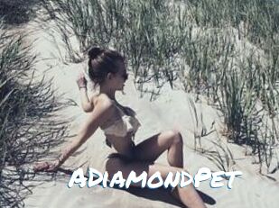 A_DiamondPet