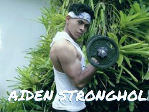 AIDEN_STRONGHOLD