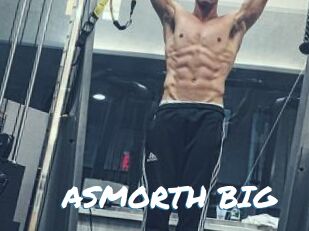 ASMORTH_BIG