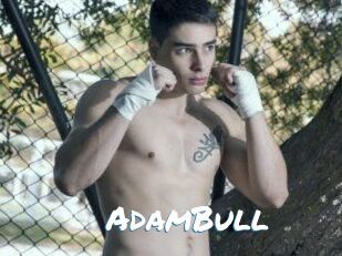 AdamBull
