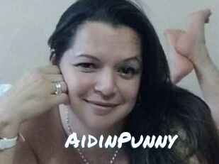 AidinPunny