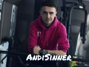 AndiSinner