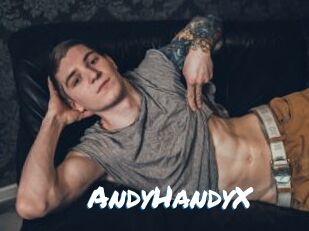 AndyHandyX