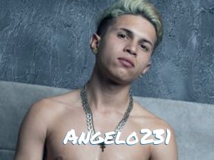 Angelo231 Max 50