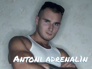 Antoni_adrenal1n