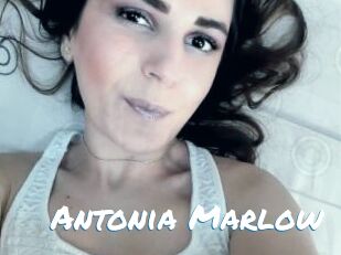 Antonia_Marlow Max 50