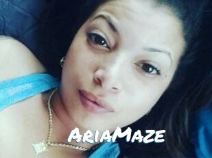 Aria_Maze