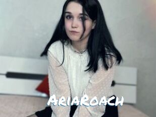 AriaRoach