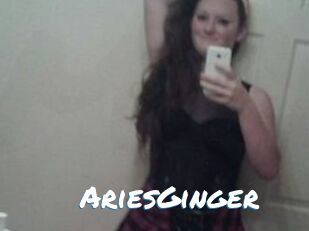 AriesGinger