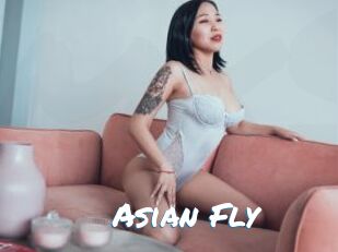 Asian_Fly