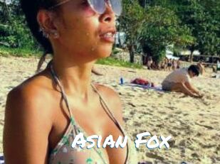 Asian_Fox