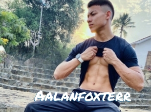 aalanfoxterr Max 50