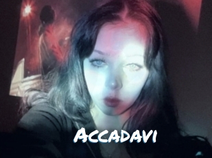 Accadavi