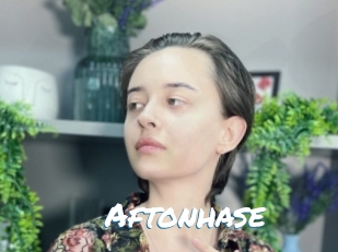 Aftonhase