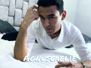 Agnuscaelie