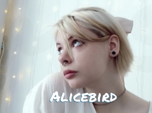 Alicebird