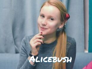 Alicebush