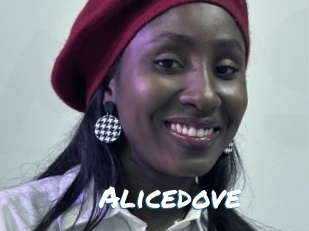 Alicedove
