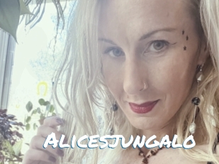 Alicesjungalo