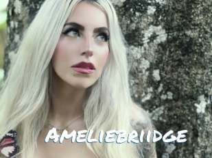 Ameliebriidge