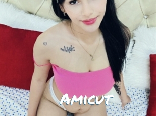 Amicut