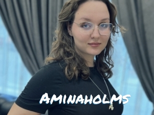 Aminaholms