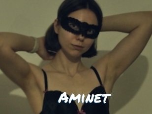 Aminet