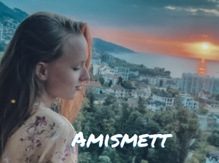 Amismett