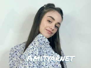 Amityarnet