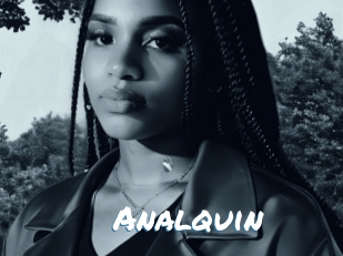 Analquin