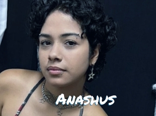 Anashus