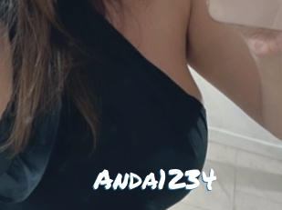 Anda1234