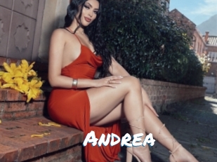 andrea Max 50