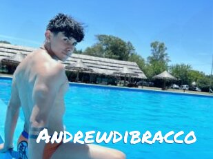 Andrewdibracco
