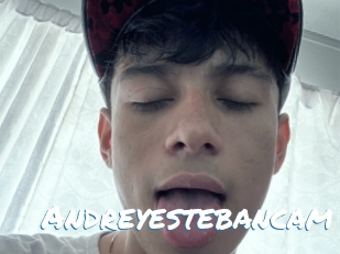 Andreyestebancam
