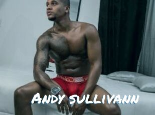 Andy_sullivann