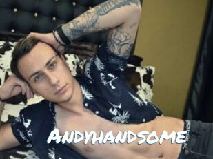 Andyhandsome