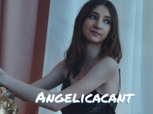 Angelicacant