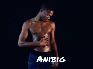 Anibig