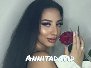 Annitadavid
