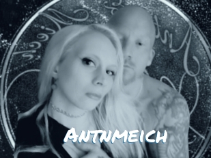Antnmeich