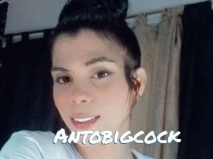 Antobigcock