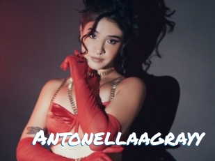 Antonellaagrayy
