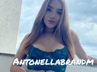 Antonellabrandm