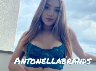 Antonellabrands