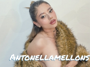 Antonellamellons