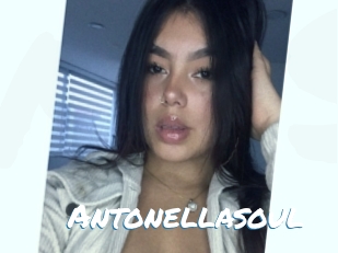 antonellasoul Max 50
